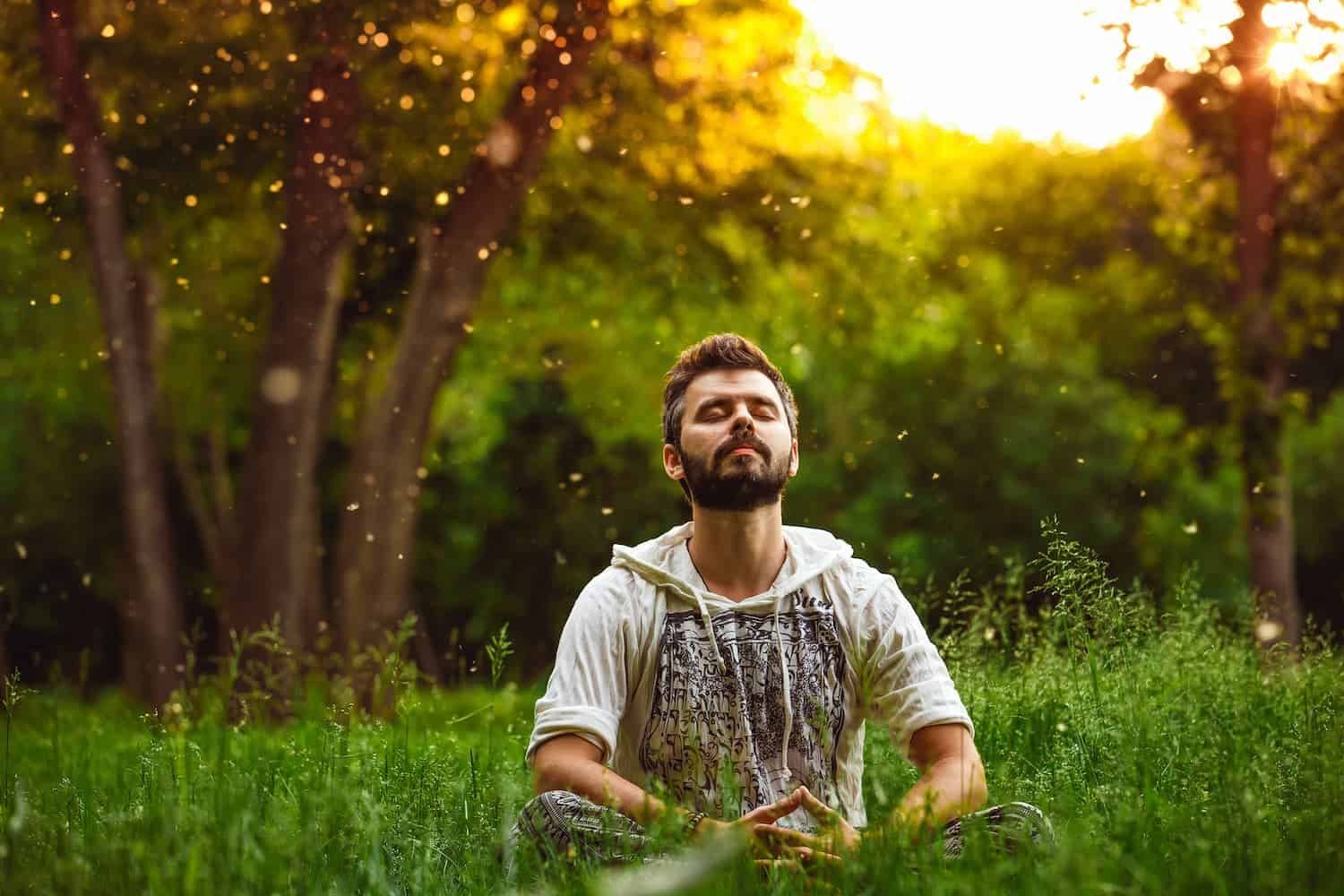 A bearded man meditating on green grass in the park with face raised up to sky and eyes closed on sunny summer day.